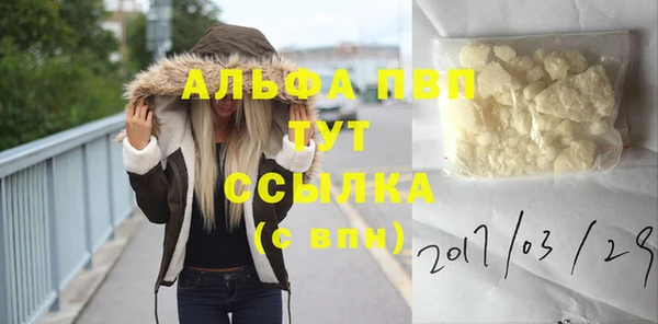 ешки Белокуриха