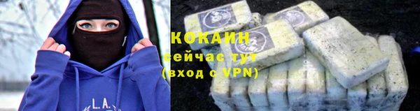 ешки Белокуриха