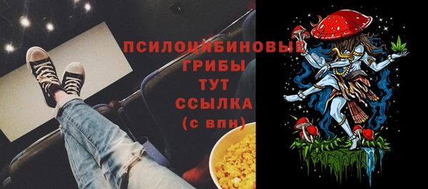 ALPHA PVP Беломорск